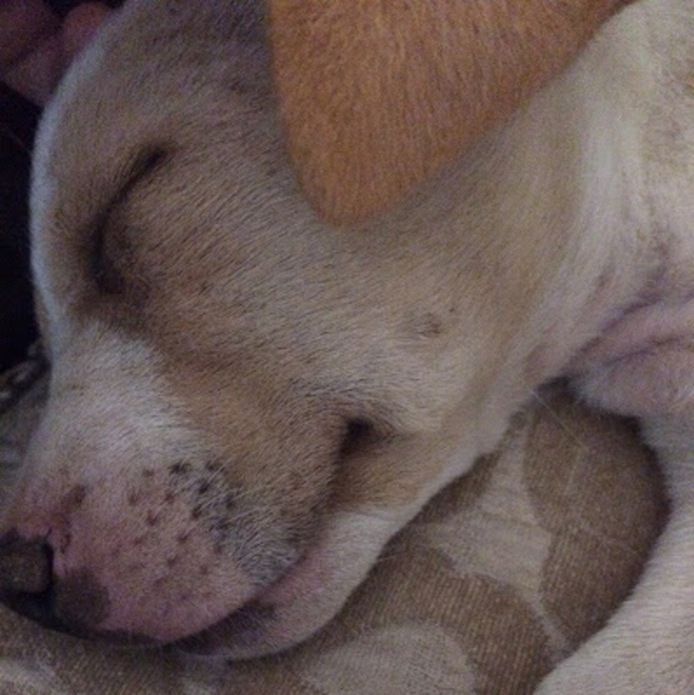 Meet your Posher, Isaac